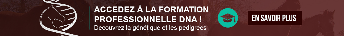 Pub Formation DNA
